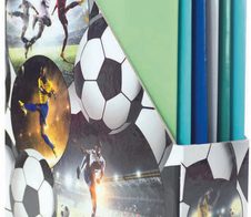 HERMA Stehsammler Karton Fußball , DIN A4