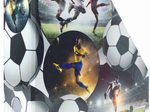 HERMA Stehsammler Karton Fußball , DIN A4