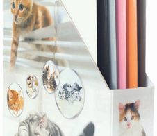 HERMA Stehsammler Karton Katzen , DIN A4