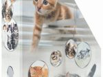 HERMA Stehsammler Karton Katzen , DIN A4