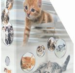 HERMA Stehsammler Karton Katzen , DIN A4