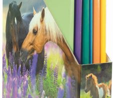 HERMA Stehsammler Karton Pferdewiese , DIN A4