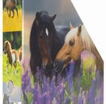 HERMA Stehsammler Karton Pferdewiese , DIN A4