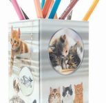 HERMA Stiftehalter 8,0 x 8,0 x 13,5 cm Katzen