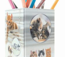 HERMA Stiftehalter 8,0 x 8,0 x 13,5 cm Katzen