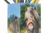 HERMA Stiftehalter 8,0 x 8,0 x 13,5 cm Pferdewiese