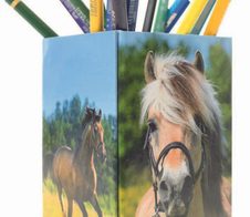 HERMA Stiftehalter 8,0 x 8,0 x 13,5 cm Pferdewiese