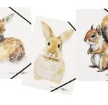 PAGNA Eckspanner Save me DIN A4 Rehkitz, Hase, Eichhörnchen