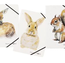 Rehkitz, Hase, Eichhörnchen