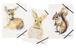 PAGNA Eckspanner Save me DIN A4 Rehkitz, Hase, Eichhörnchen