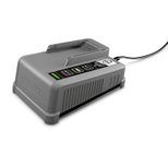 KÄRCHER Akku-Schnellladegerät Kärcher Ladegerät Power+ 18V