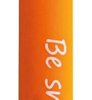 EBERHARD FABER Animal Erase it! Fuchs Gelschreiber 0.7 mm, Schreibfarbe: Blau