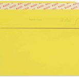 ELCO Briefumschläge DIN lang ohne Fenster haftklebend