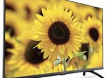 STRONG SRT32HD5553 Smart-TV 80 cm (32")