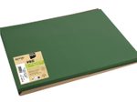 PROnappe Platzsets Tiss Lack 30 x 40 cm tannengrün