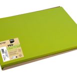 PROnappe Platzsets Tiss Lack 30 x 40 cm kiwigrün