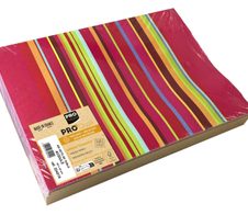 PROnappe Platzsets Bunt 30 x 40 cm mehrfarbig