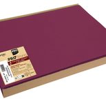 PROnappe Platzsets 30 x 40 cm bordeaux