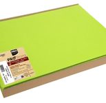 PROnappe Platzsets 30 x 40 cm kiwigrün