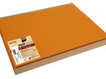 PROnappe Platzsets 30 x 40 cm orange