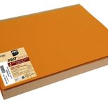 PROnappe Platzsets 30 x 40 cm orange