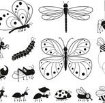 HEYDA Motivstempel-Set - Insekten