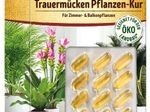 SUBSTRAL® Naturen® Trauermücke Zimmerpflanzenkur 12x 1,0 ml, 12 St.