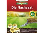 SUBSTRAL® DIE NACHSAAT Rasensamen 400 g