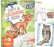 DEPESCHE Wildtiere Durchpaus Bastelbuch