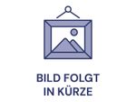 Einhell Multifunktionswerkzeug TC-MG 250 CE (4465185)