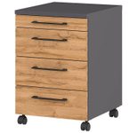 GERMANIA GW-PROFI 2.0 Rollcontainer 4251-564 - Graphit/Grandson-Eiche-Nb.