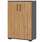 GERMANIA GW-PROFI 2.0 Aktenschrank 4247-564 - graphit/grandson-eiche