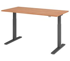 HAMMERBACHER XMKA16 höhenverstellbarer Schreibtisch 70,0 - 120,0 cm - elektrisch nussbaum / grafit