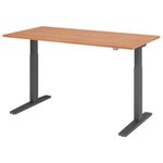 HAMMERBACHER XMKA16 höhenverstellbarer Schreibtisch 70,0 - 120,0 cm - elektrisch nussbaum / grafit