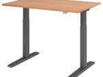 HAMMERBACHER XMKA12 höhenverstellbarer Schreibtisch 70,0 - 120,0 cm - elektrisch nussbaum / grafit