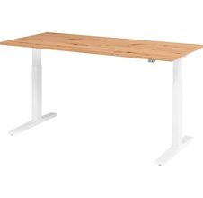 Asteiche