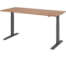 HAMMERBACHER XMKA19 höhenverstellbarer Schreibtisch 70,0 - 120,0 cm - elektrisch nussbaum / grafit