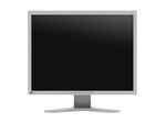 EIZO FlexScan S2134-GY LCD-Monitor 54 cm 21,3 Zoll
