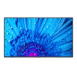 NEC MultiSync M491 PCAP 4K UHD Touch Display 124 cm (49")