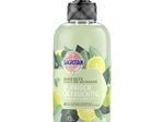 SAGROTAN® FRISCH&FRUCHTIG Flüssigseife 300,0 ml