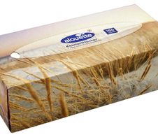 alouette Kosmetiktücherbox 2-lagig, weiß