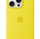 Apple Silikon Case iPhone 16 Pro mit MagSafe (sternfrucht)