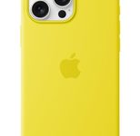 Apple Silikon Case iPhone 16 Pro Max mit MagSafe (sternfrucht)