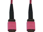 Eaton Tripp Lite Series 100G Multimode 50/125 OM4 Fiber Optic Kabel (12F MTP/MPO-PC F/F), LSZH, Magenta, 25 m (82 ft.)