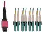 Eaton Tripp Lite Series 40/100G Multimode 50/125 OM4 Fiber Optic Kabel (12F MTP/MPO-PC zu 4x Duplex LC/PC F/M), 3 m