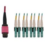 Eaton Tripp Lite Series 40/100G Multimode 50/125 OM4 Fiber Optic Kabel (12F MTP/MPO-PC zu 4x Duplex LC/PC F/M), 1 m