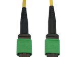 Eaton Tripp Lite Series 40/100G Singlemode 9/125 OS2 Fiber Optic Kabel (12F MTP/MPO-APC F/F), 1 m
