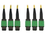 Eaton Tripp Lite Series 40/100G Singlemode 9/125 OS2 Fiber Optic Kabel (3x8F MTP/MPO-APC F/F), 23 m