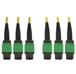 Eaton Tripp Lite Series 40/100G Singlemode 9/125 OS2 Fiber Optic Kabel (3x8F MTP/MPO-APC F/F), 10 m