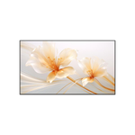 XGIMI 100" UST ALR Bildschirm 100 Zoll